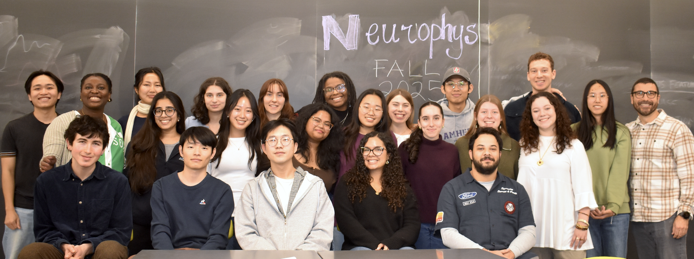 Neurophysiology