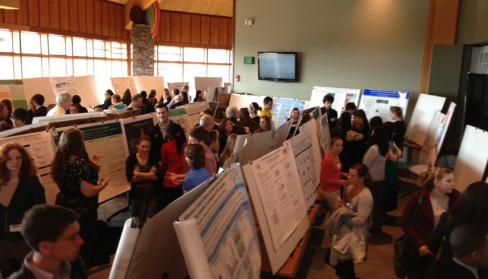NEURON 2013