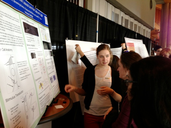 NEURON 2013 Poster 1